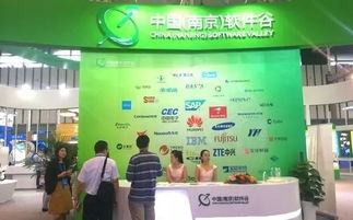 第十三届中国南京国际软件产品和信息服务交易博览会盛大开幕，聚焦信息咨询服务新趋势