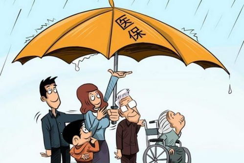 社保缴满十五年中断，退休前还需补缴吗？权威解答来了